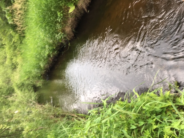 Soules Creek, White River Watershed (UF08)