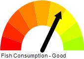 Fox Valley Creek (31-1) Trib. To Bear Creek, Bear Creek Watershed (LC01) Fish Consumption